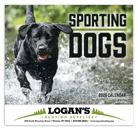 Sporting Dogs
